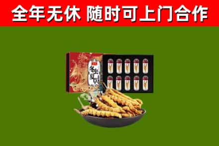 顺庆回收冬虫夏草价格