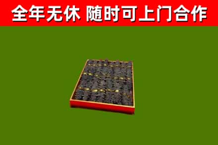 顺庆回收海参